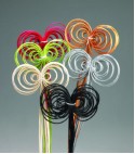 dried flowers d-f077